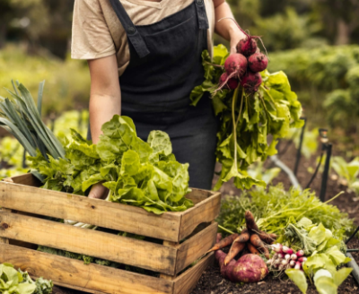 A person holding vegetables in a wooden crate.